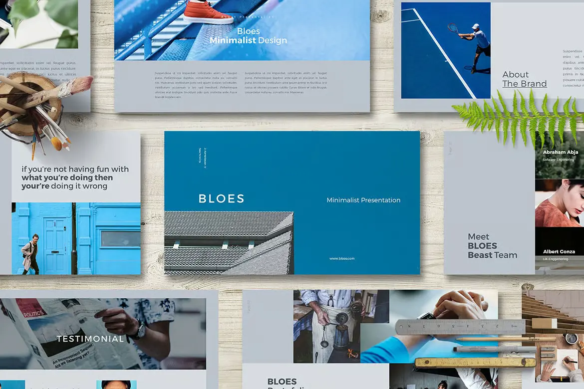 BLOES PowerPoint Presentation